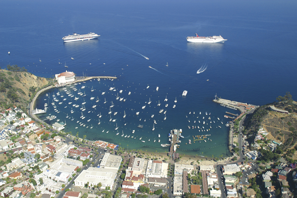 Aerial Photo of Avalon Harbor With Cruise Ships